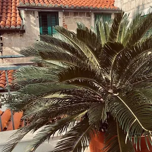 Apartment Saint Lucas